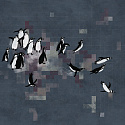 PINGUINE 7