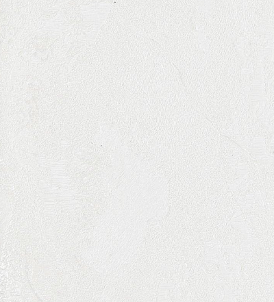 Обои 84284-9, Gaga, Bernardo Bartalucci