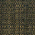 W05 50409