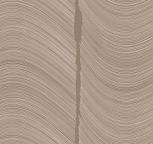 Коричневые обои в спальню Loymina Equilibre BR4 002/2