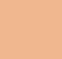 Однотонные оранжевые обои (фон) Loymina Materials Lotus LOT1, 126
