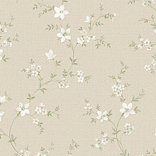 Обои с цветами Alessandro Allori Bruni 1001-2 RBN Обои с цветами Alessandro Allori Bruni 1001-2 RBN